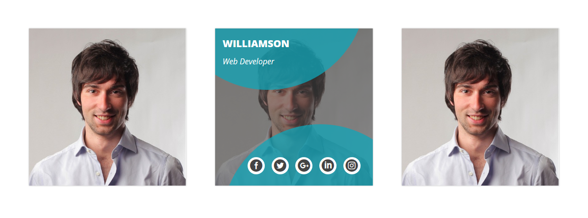 Box Hover Effect & Pricing Table & Progress Bar Part3