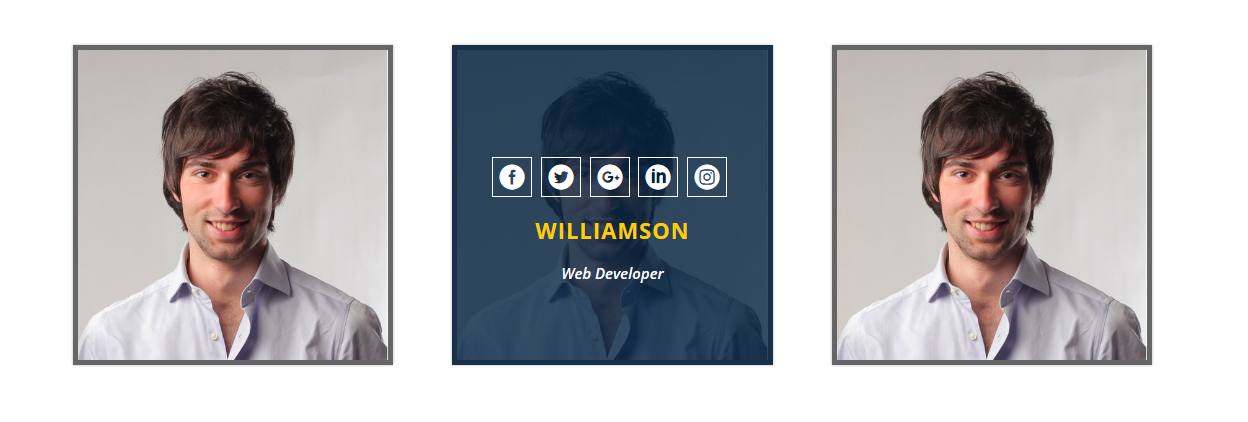 Box Hover Effect & Pricing Table & Progress Bar Part2