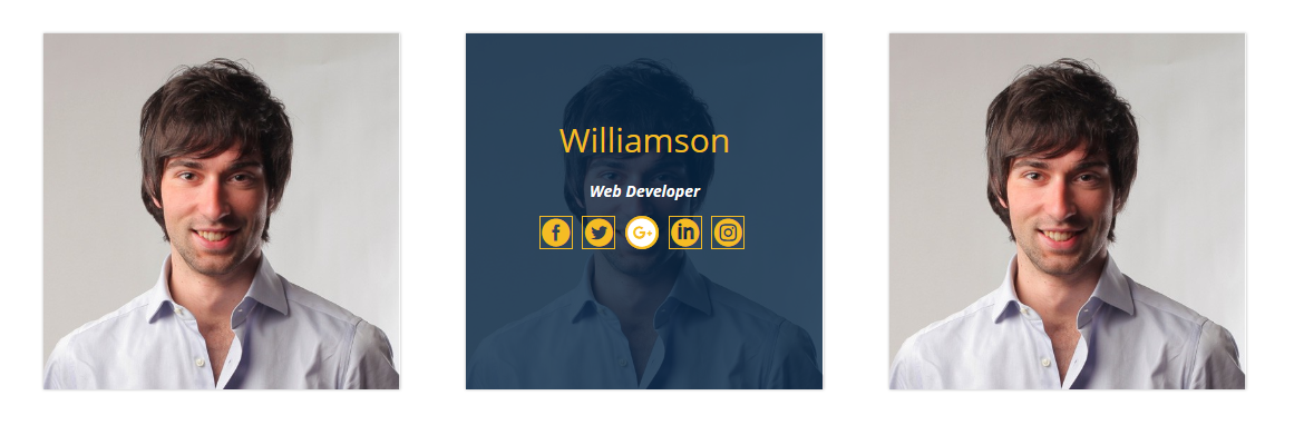 Box Hover Effect & Pricing Table & Progress Bar Part4