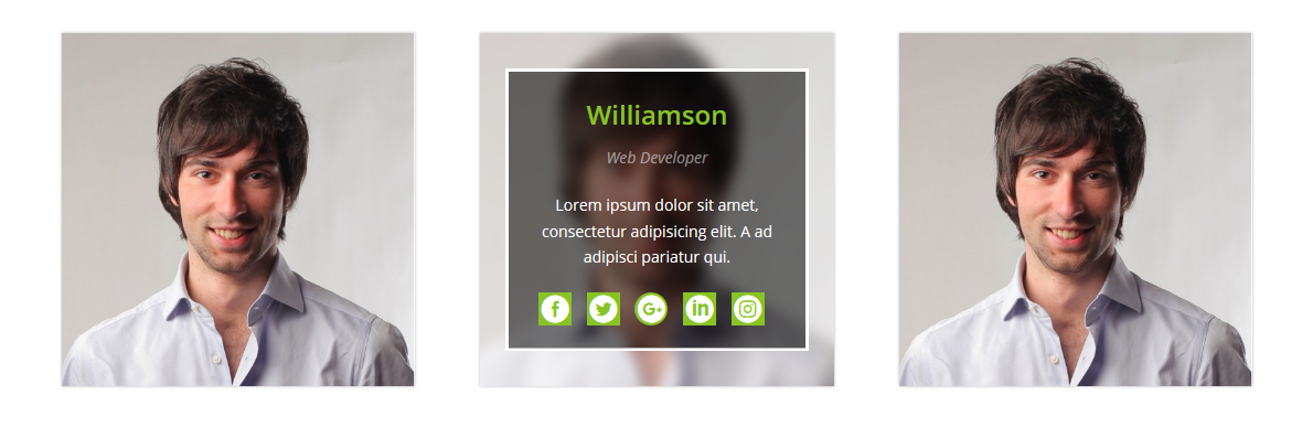 Box Hover Effect & Pricing Table & Progress Bar Part4