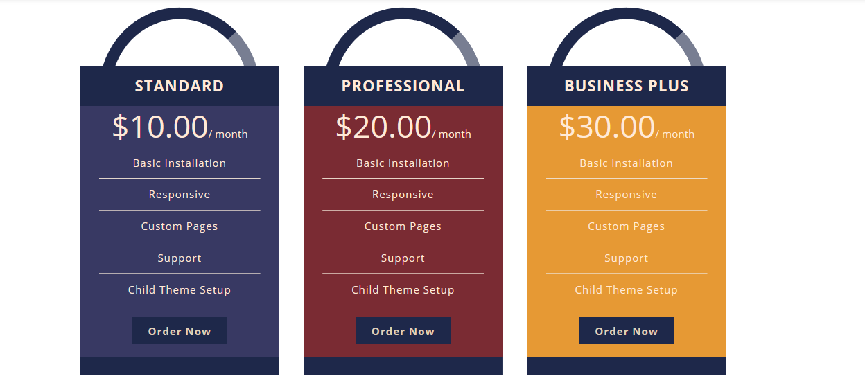 Box Hover Effect & Pricing Table & Progress Bar Part4