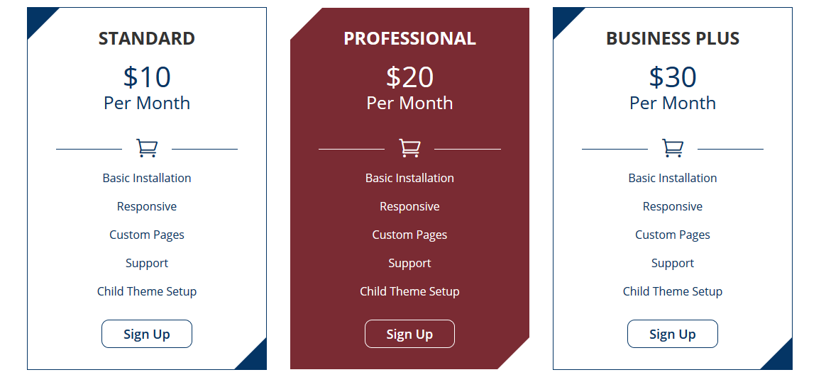 Box Hover Effect & Pricing Table & Progress Bar Part4