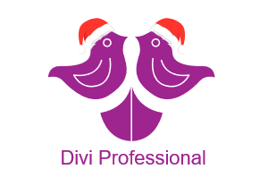 Divi Professional Coupons and Promo Code