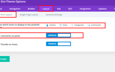 Blog Detail Page Divi Feature & Rename/Remove Projects CPT  Tutorial