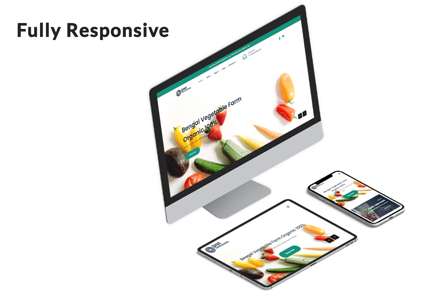 Divi Grocery Store WooCommerce Child Theme