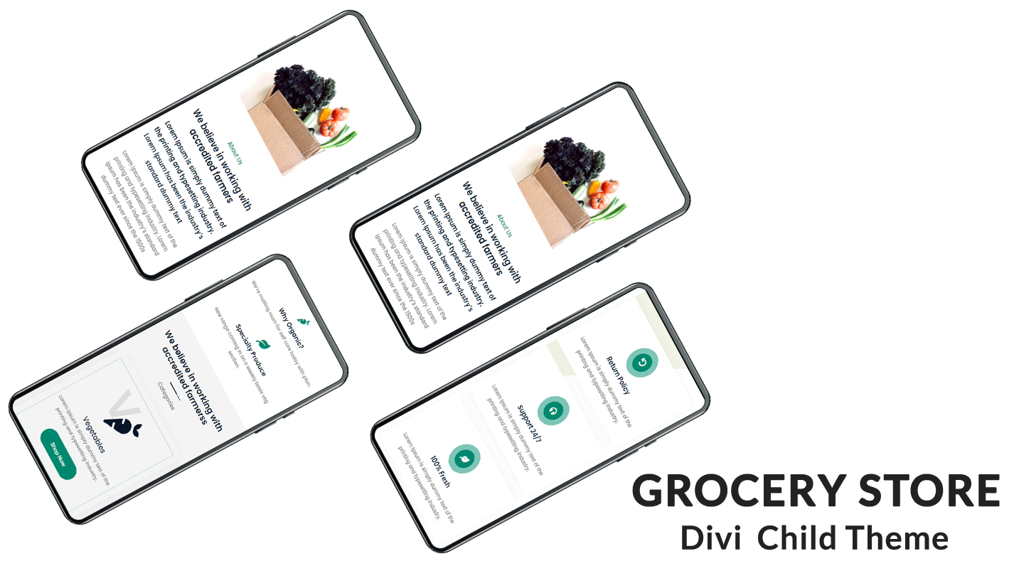 Divi Grocery Store WooCommerce Child Theme