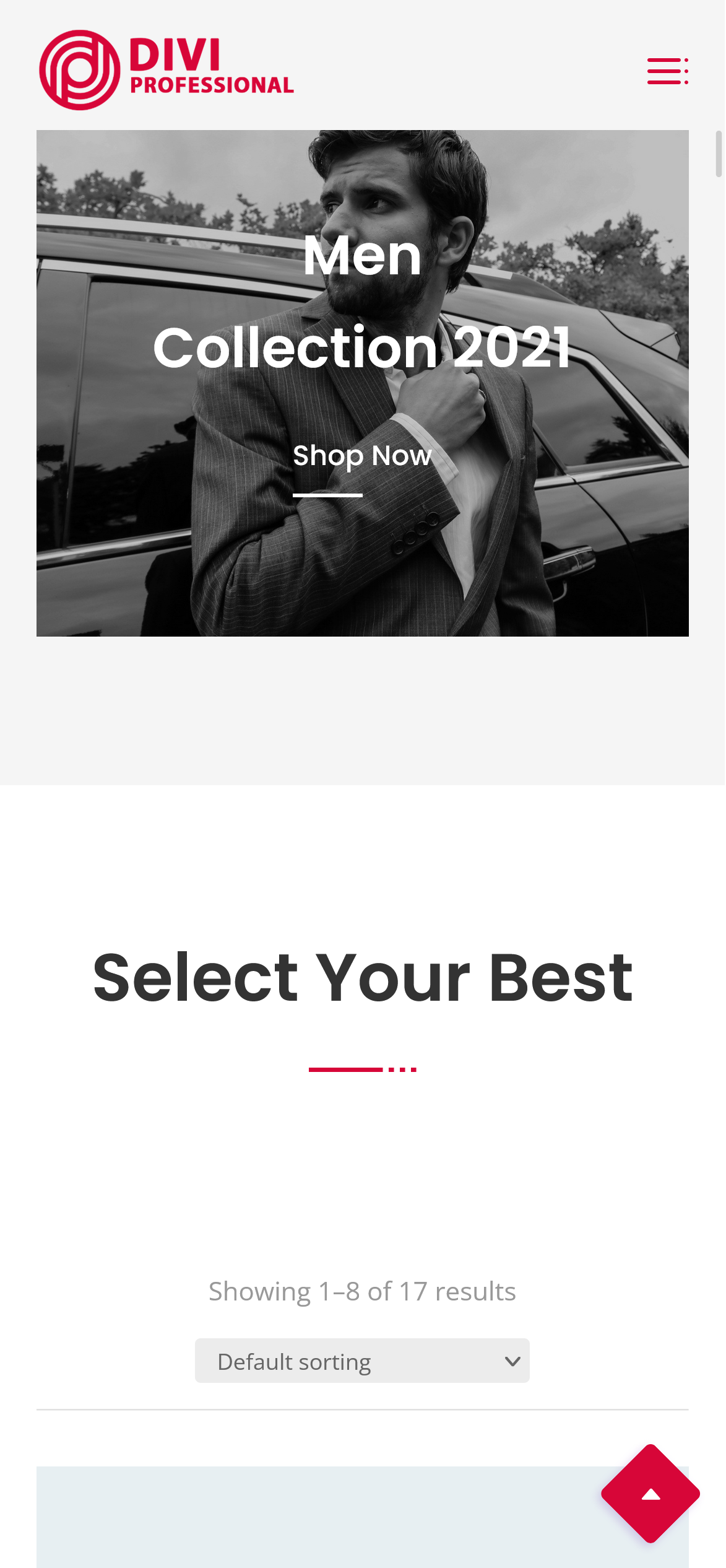Divi Grocery Store WooCommerce Child Theme Documentation