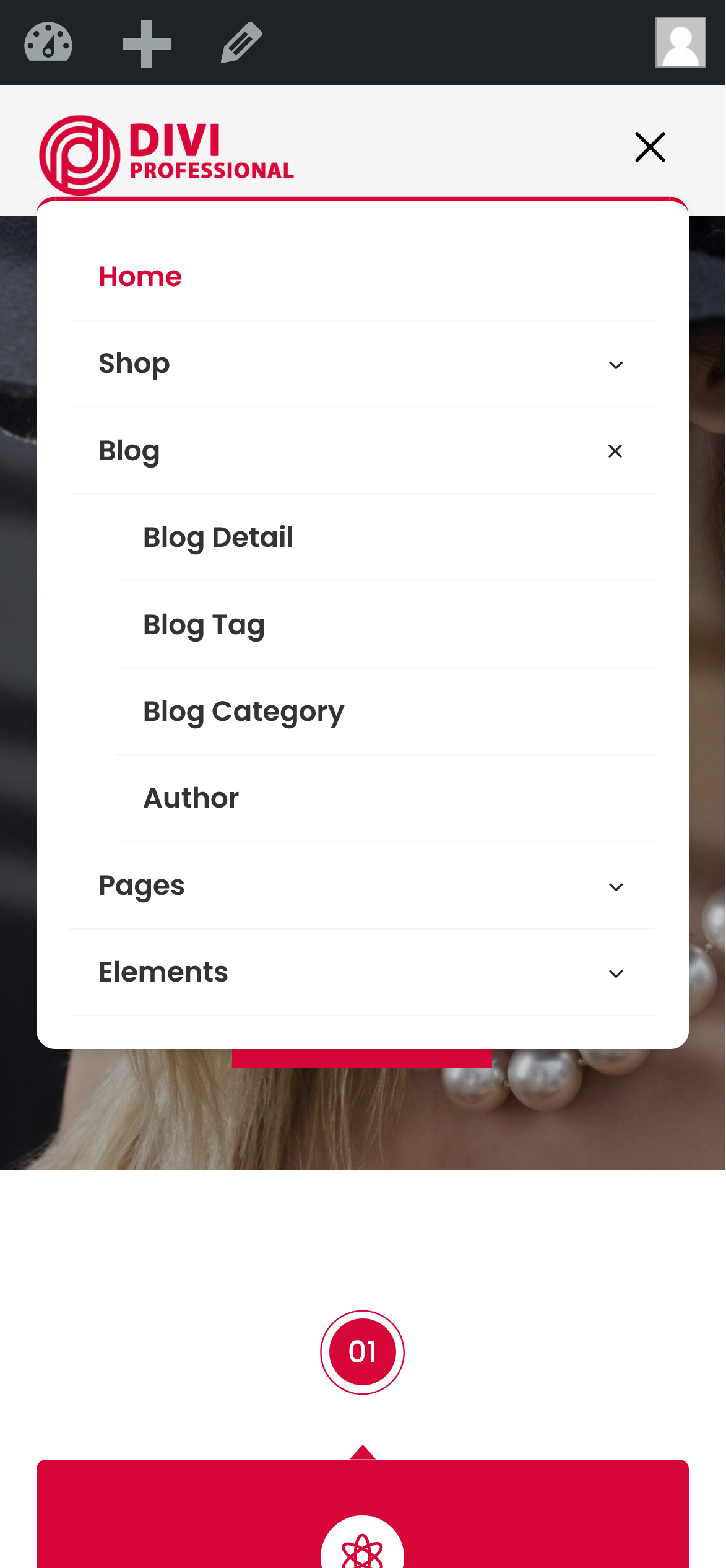 Divi Grocery Store WooCommerce Child Theme Documentation