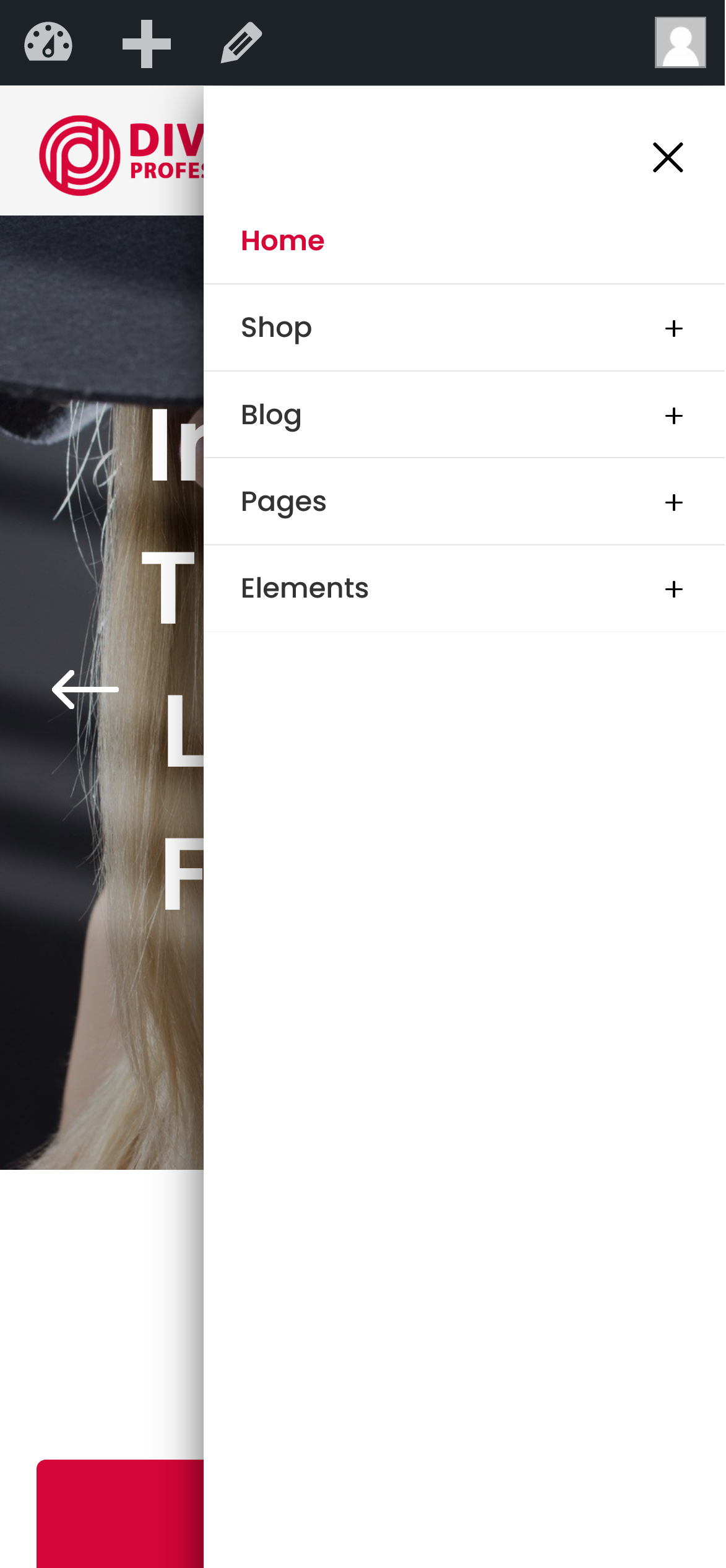 Divi Grocery Store WooCommerce Child Theme Documentation
