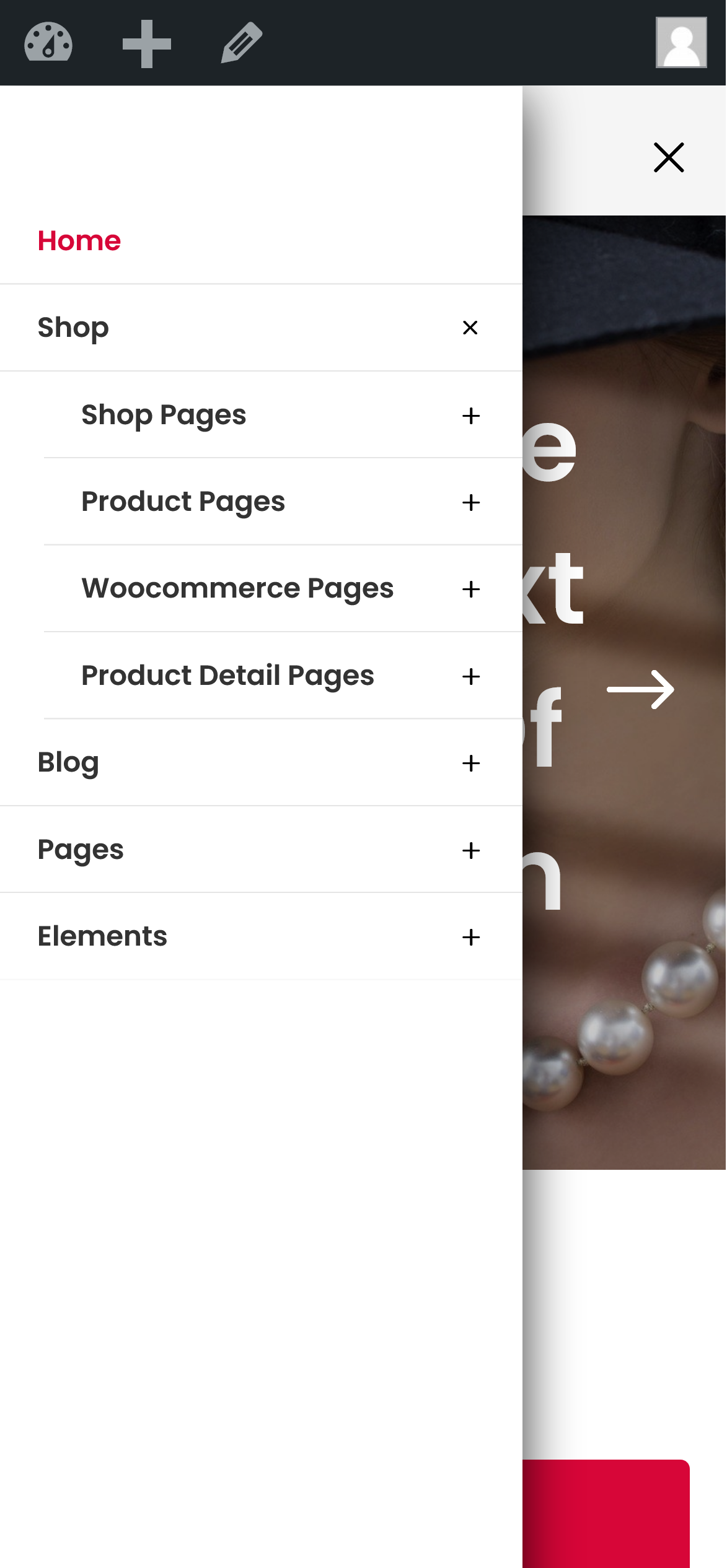 Divi Grocery Store WooCommerce Child Theme Documentation