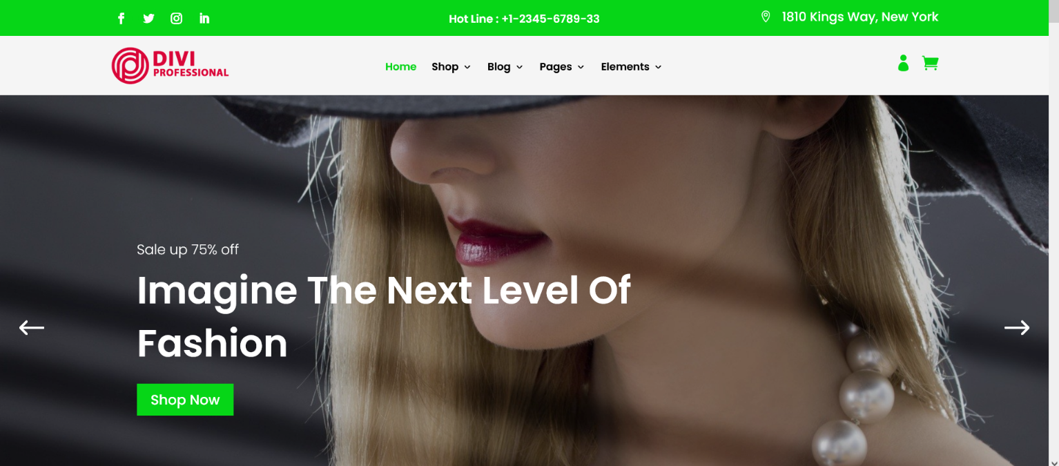 Divi Fashion Shop Child Theme Documentation