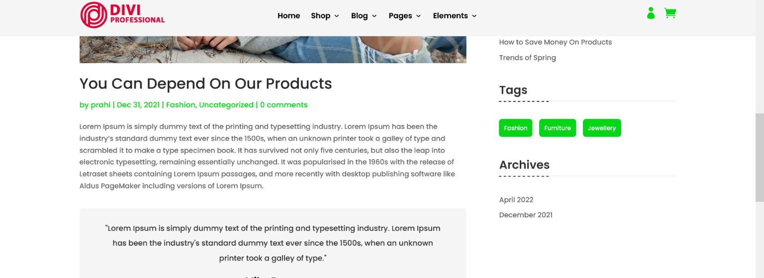 Divi Fashion Shop Child Theme Documentation