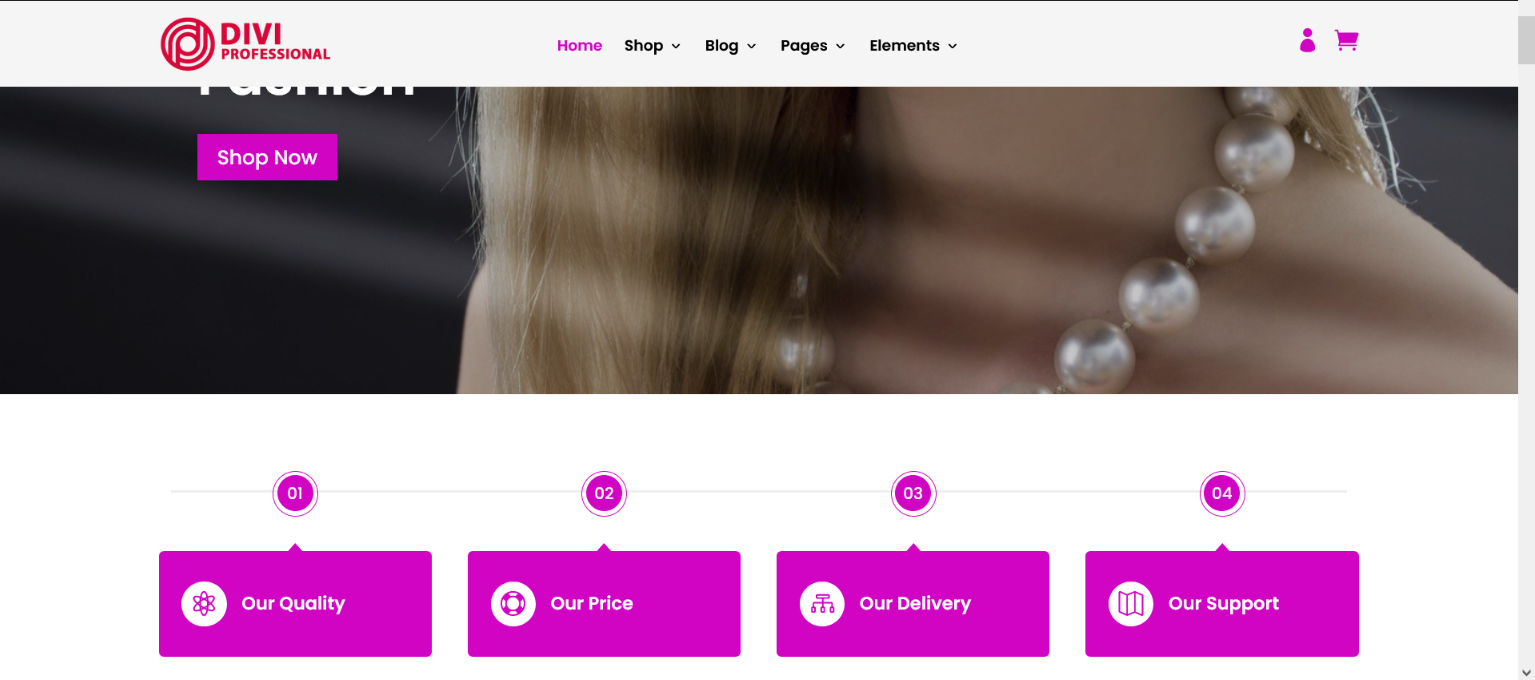 Divi Fashion Shop Child Theme Documentation