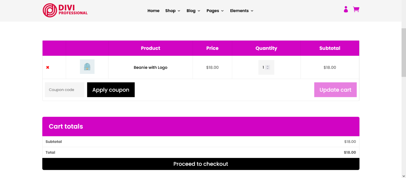 Divi Fashion Shop Child Theme Documentation