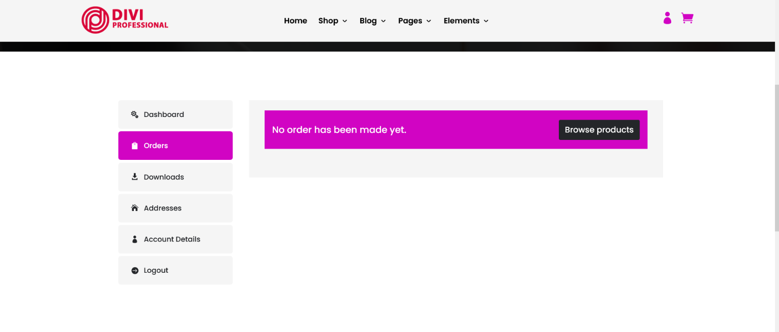 Divi Fashion Shop Child Theme Documentation