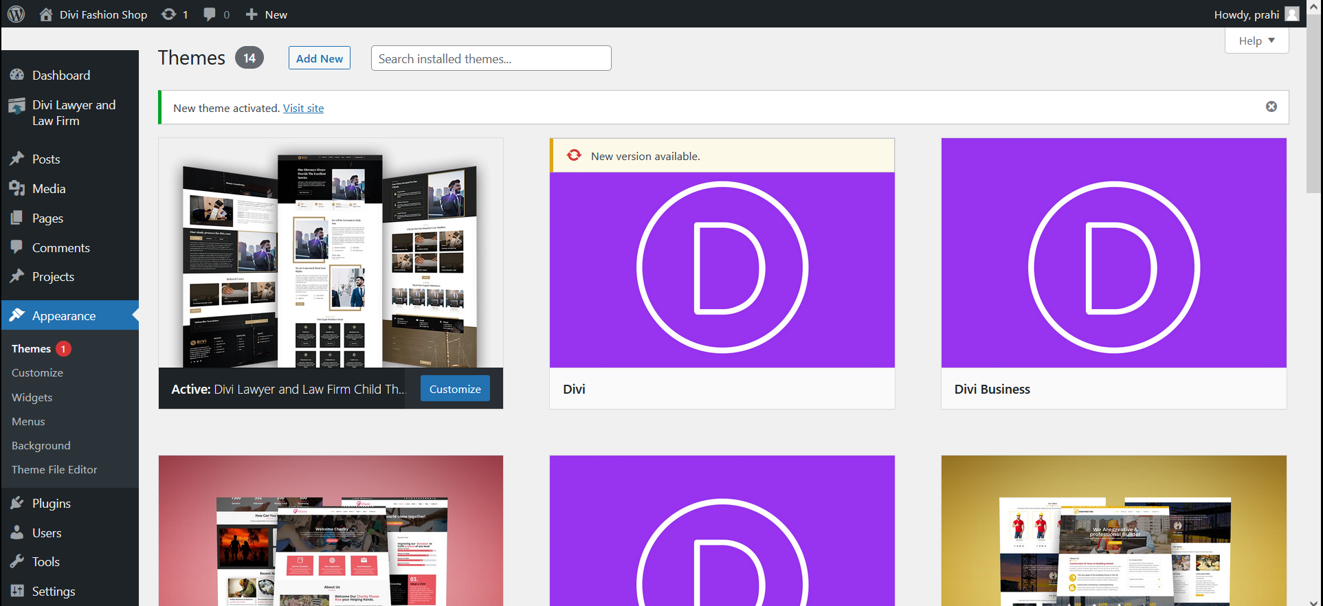 Divi Professional Any Divi Child Theme Documentation 4 Divi Professional Any Divi Child Theme Documentation