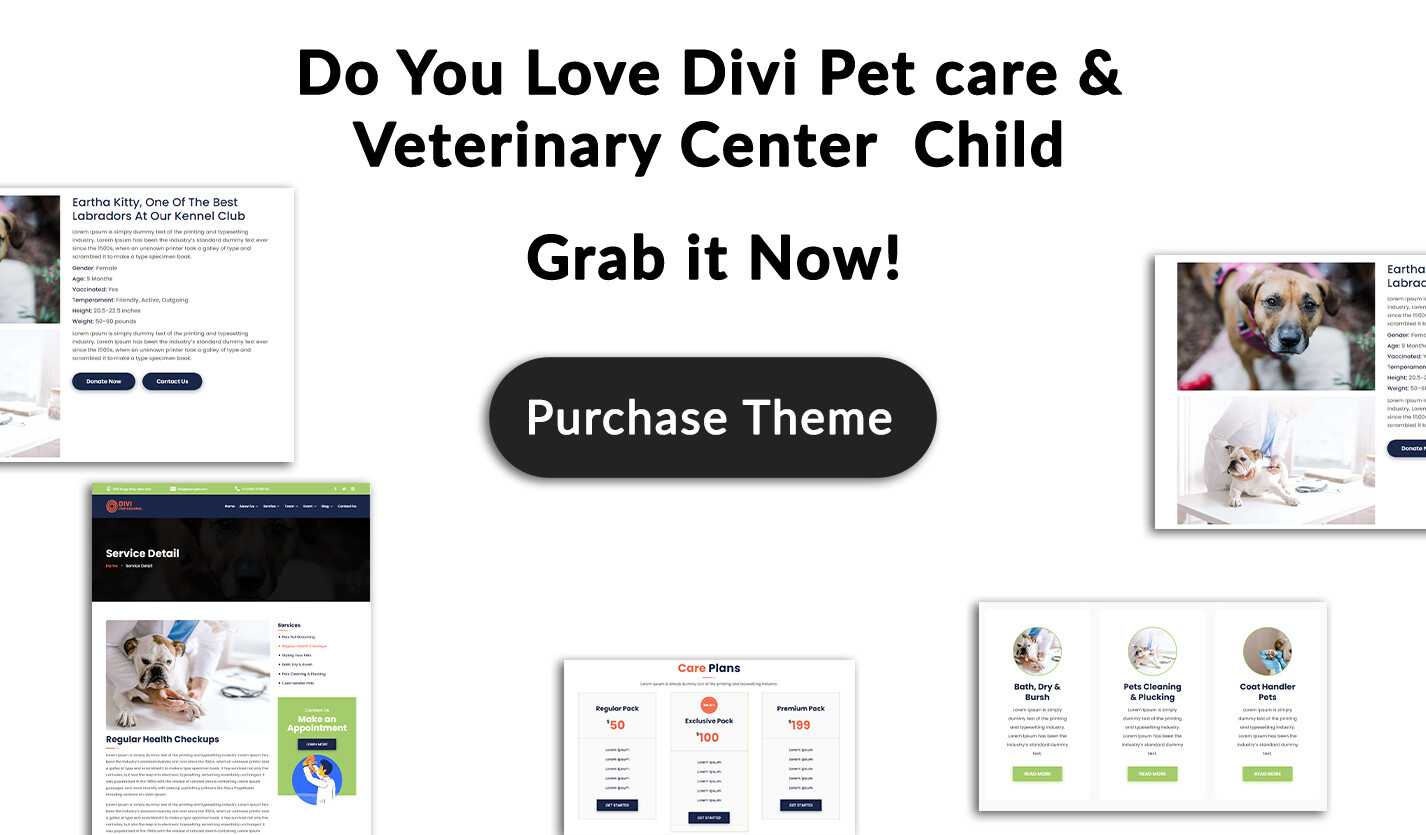 Divi Lawyer and Law Firm Child Theme