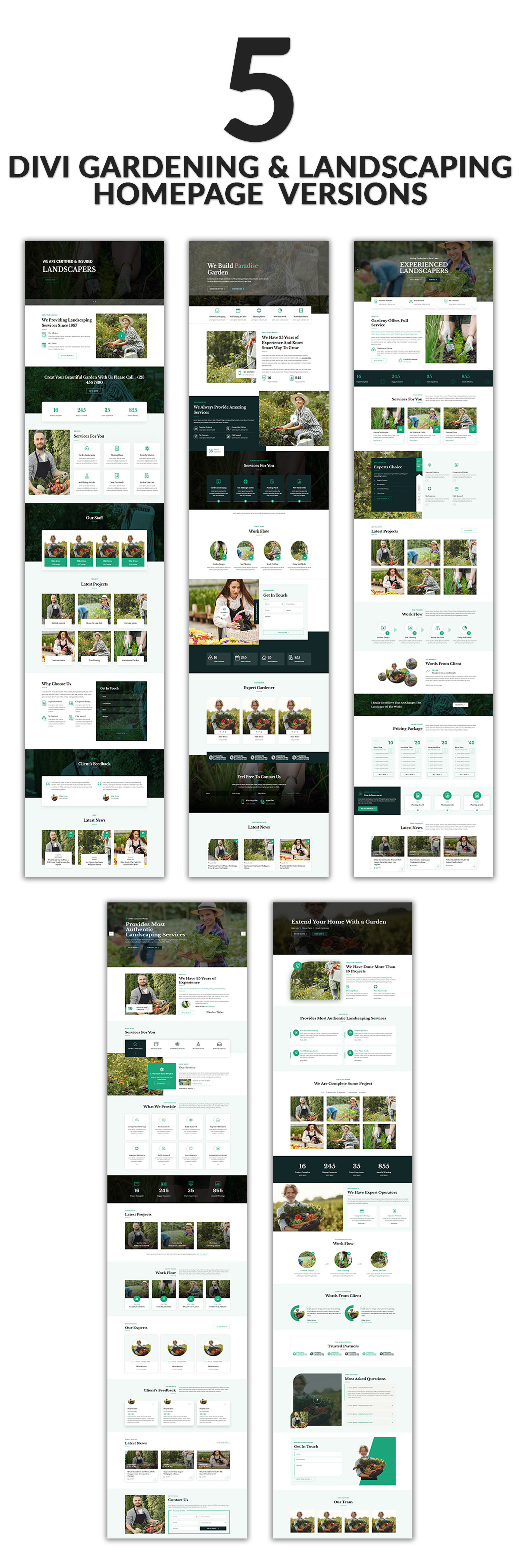 Divi Lawyer and Law Firm Child Theme