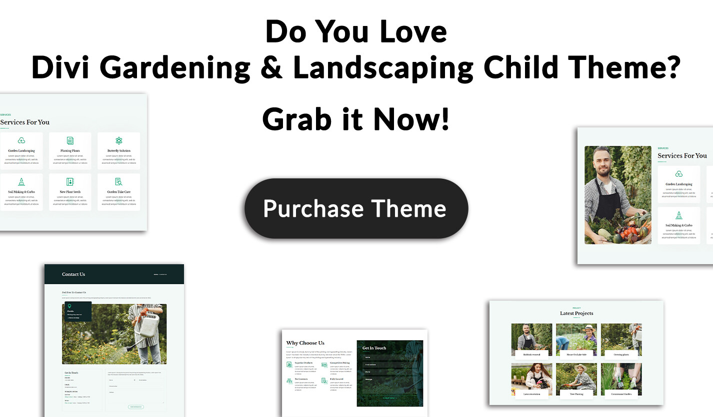 Divi Lawyer and Law Firm Child Theme