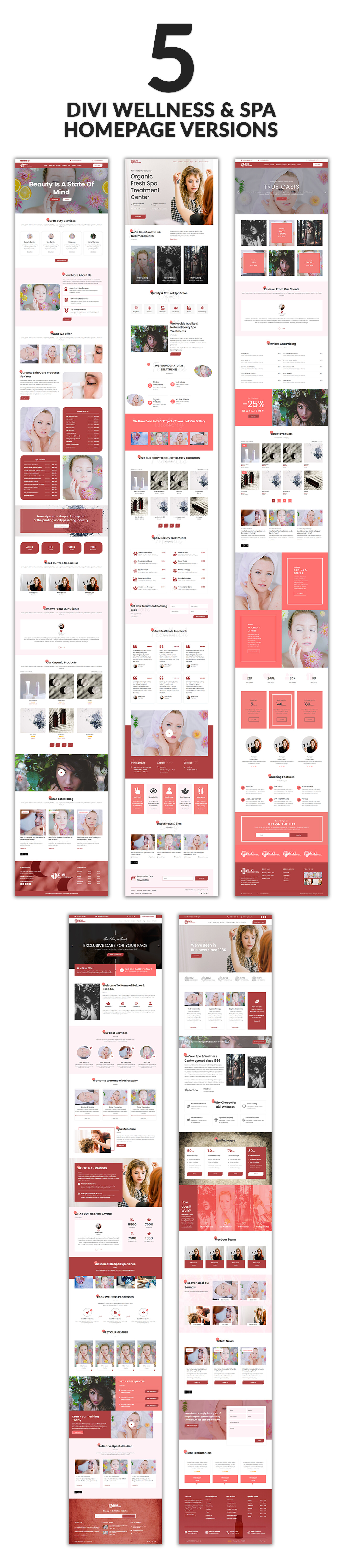 Divi Lawyer and Law Firm Child Theme
