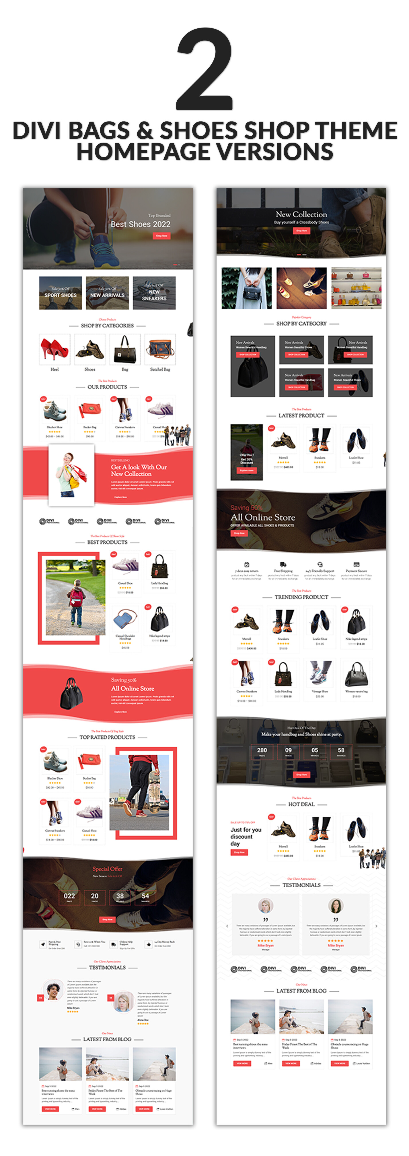 Divi Bags and Shoes Woocommerce Theme