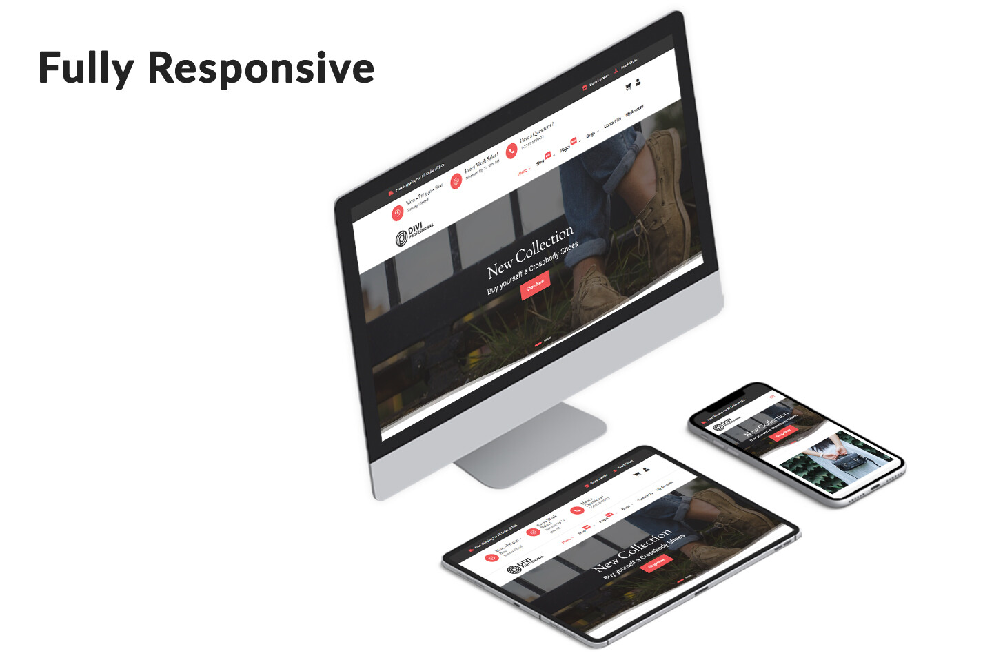 Divi Bags and Shoes Woocommerce Theme
