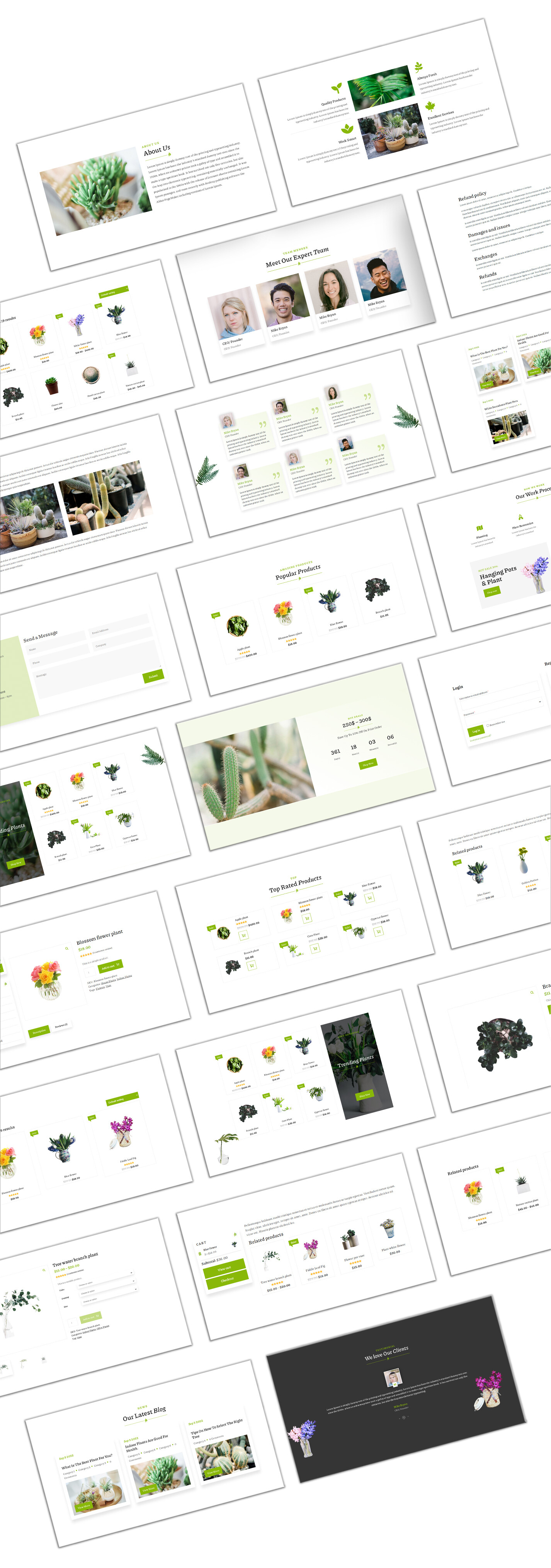 Divi Plants Shop Woocommerce Theme