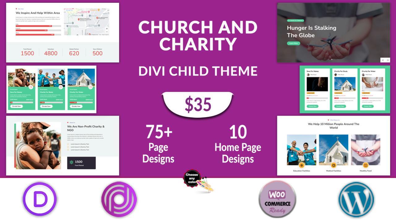 Divi Charity Theme - Divi Professional