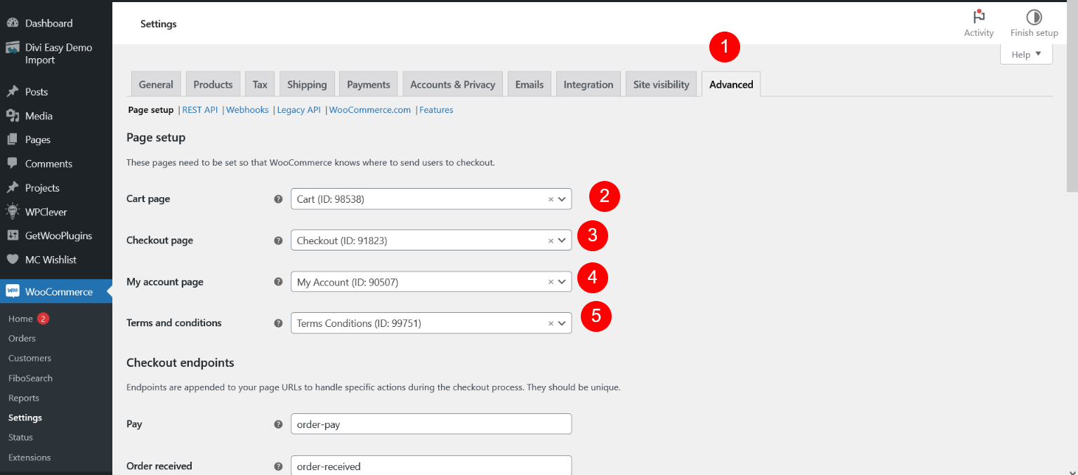 Divi Woocommerce Child Theme Documentation [Plugin Base]