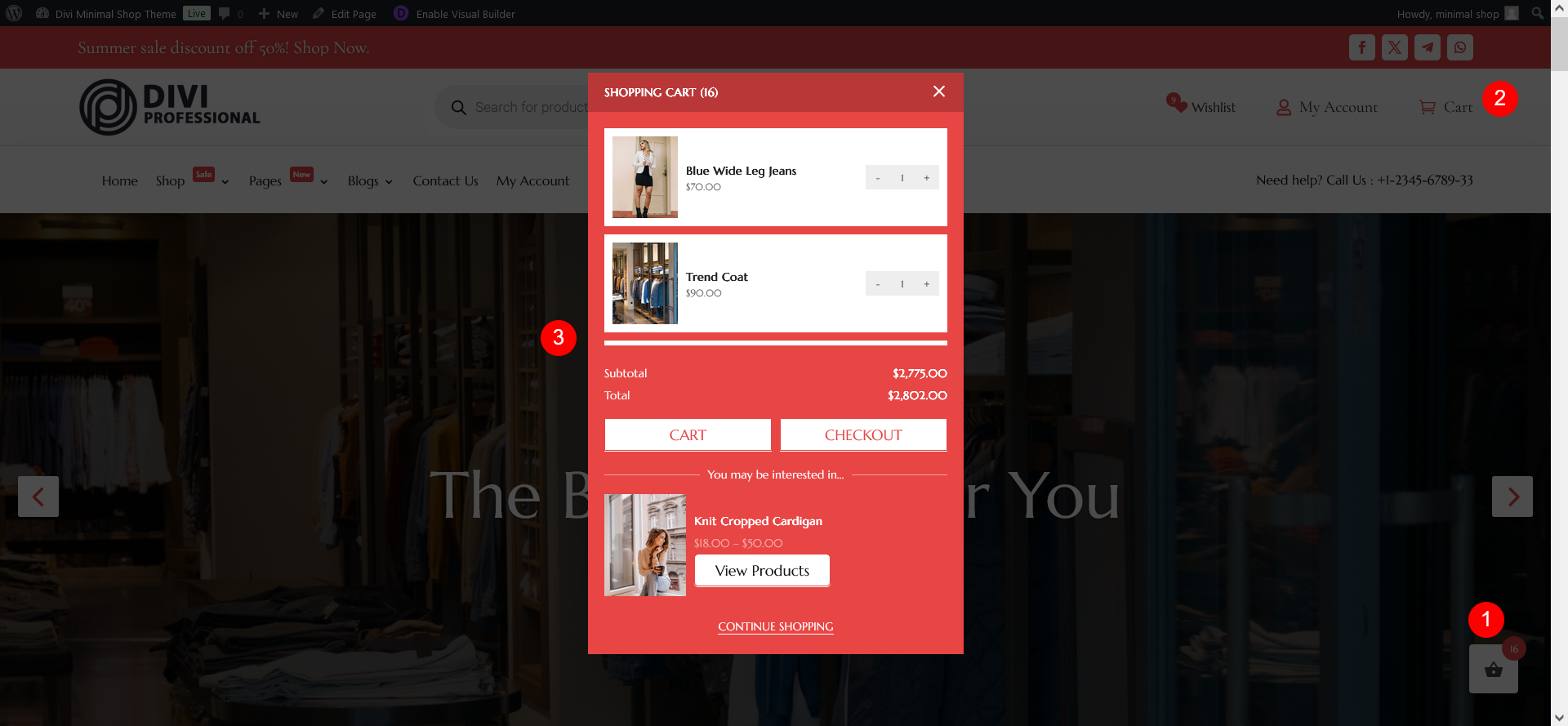 Divi Woocommerce Child Theme Documentation [Plugin Base]
