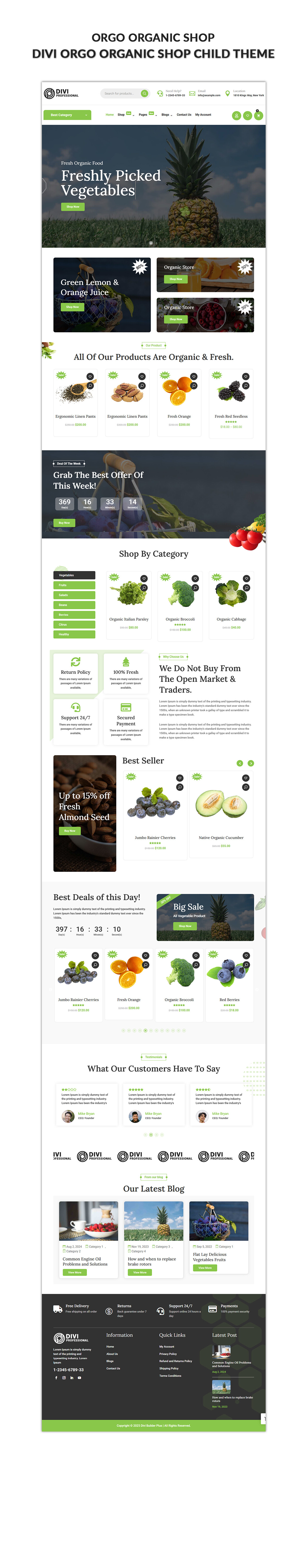 Divi Organic Shop Theme