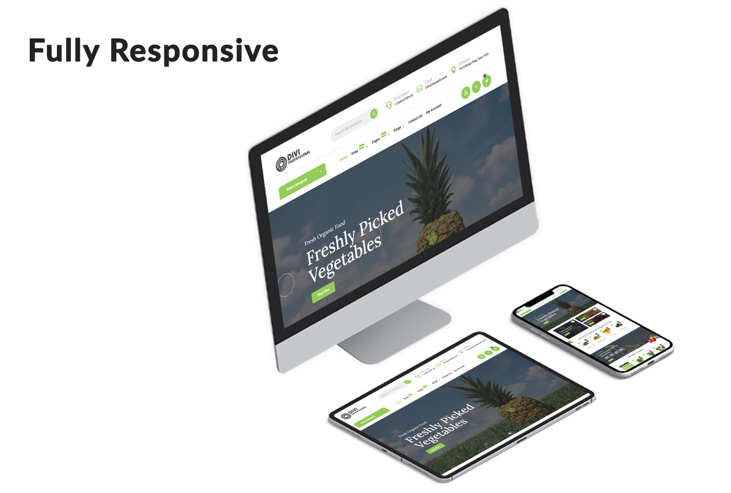 Divi Organic Shop Theme