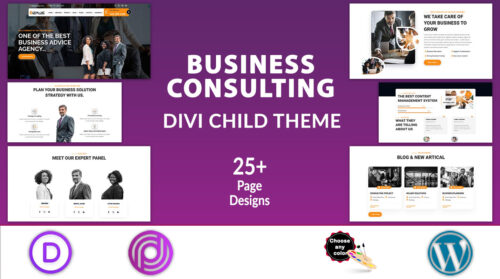 Divi Business Consulting Theme