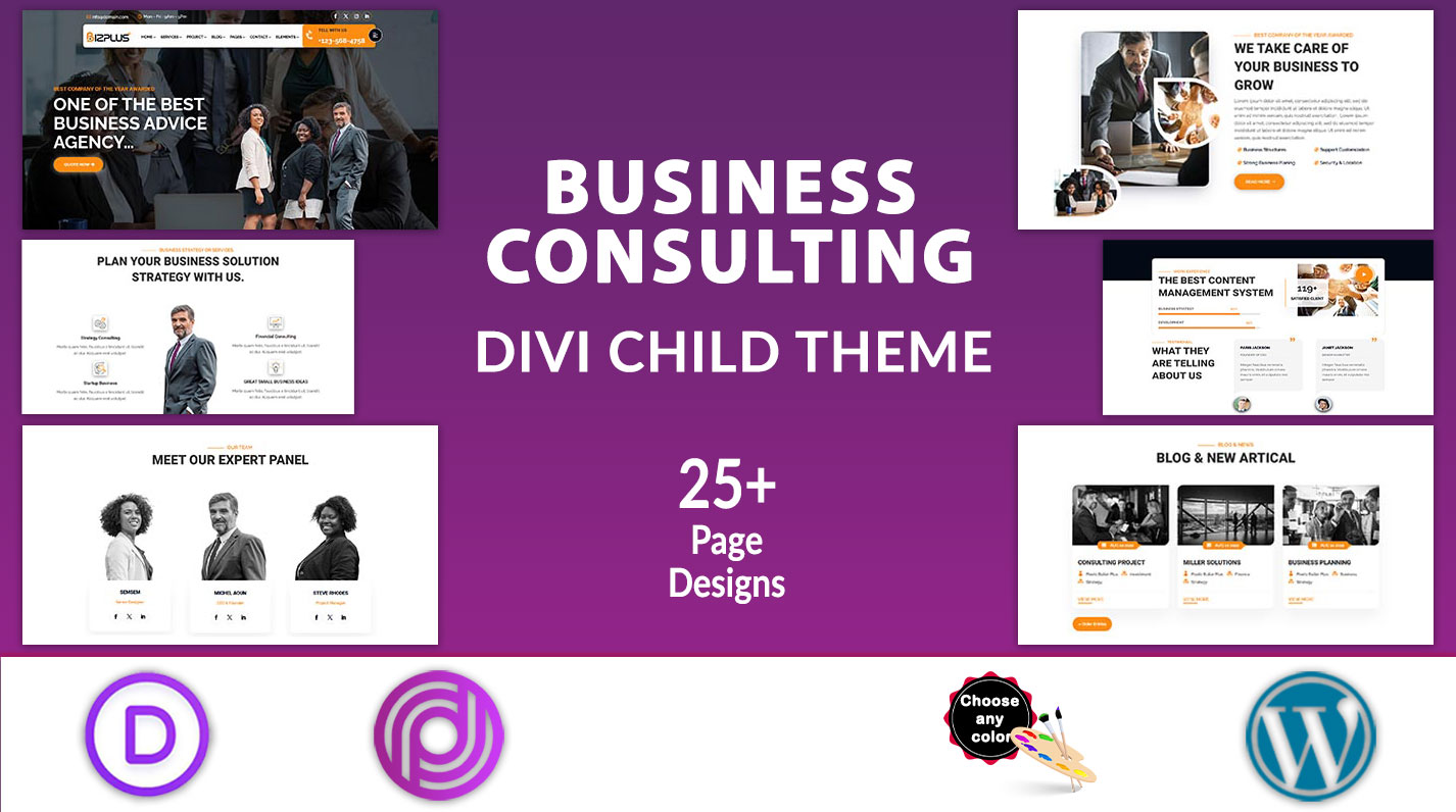 Divi Business Consulting Theme