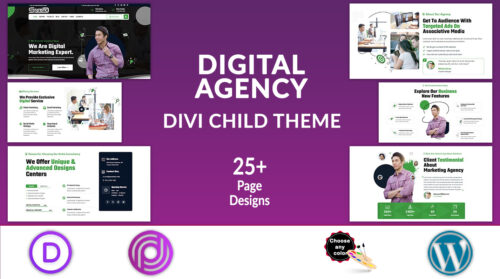 Divi Digital Agency Theme