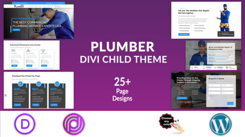 Divi Plumber Theme