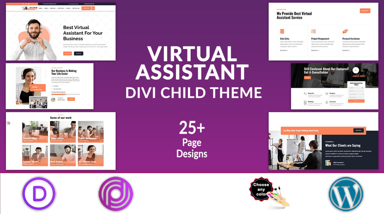 Divi Virtual Assistant Theme - Divi Professional