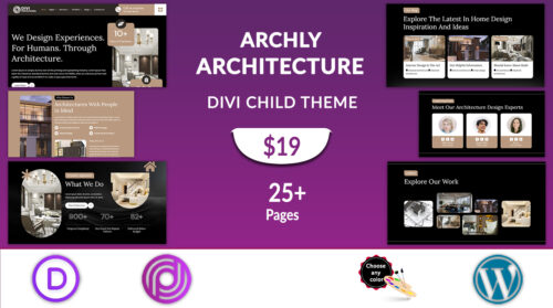 Divi Architecture Theme