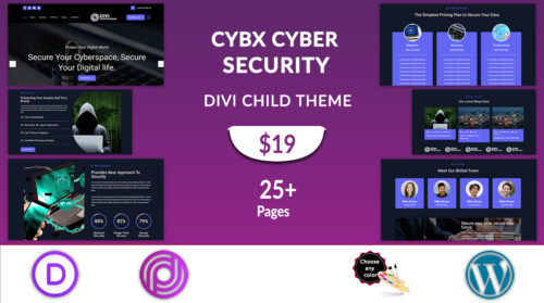 Divi Cyber Security Theme